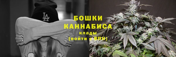 крисы Баксан