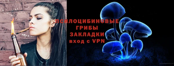 mdpv Новозыбков