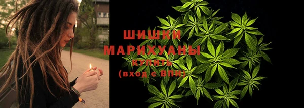 mdpv Новозыбков