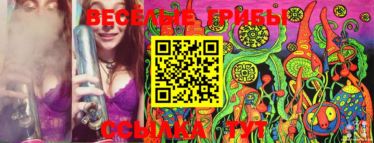 Псилоцибиновые грибы Psilocybe  где продают наркотики  Заволжье 