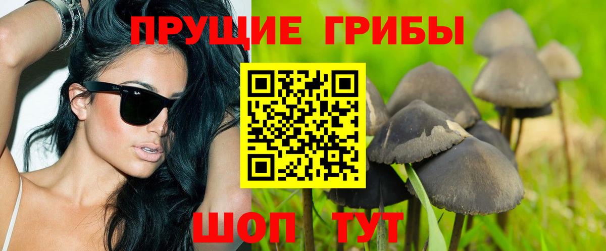 Галлюциногенные грибы мухоморы Заволжье