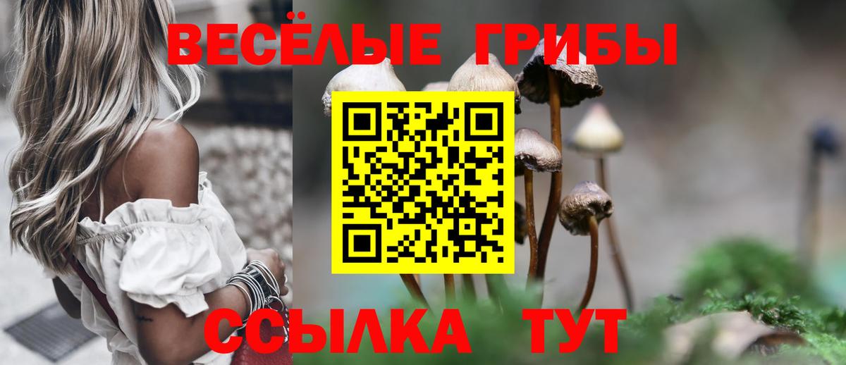 Заволжье  Галлюциногенные грибы Psilocybine cubensis  Псилоцибиновые грибы Cubensis  Вход с VPN 